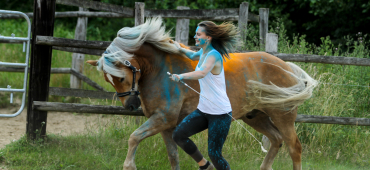 Selina mit Haflinger Noni